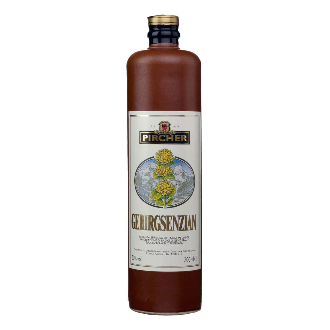 Pircher Gebirgsenzian